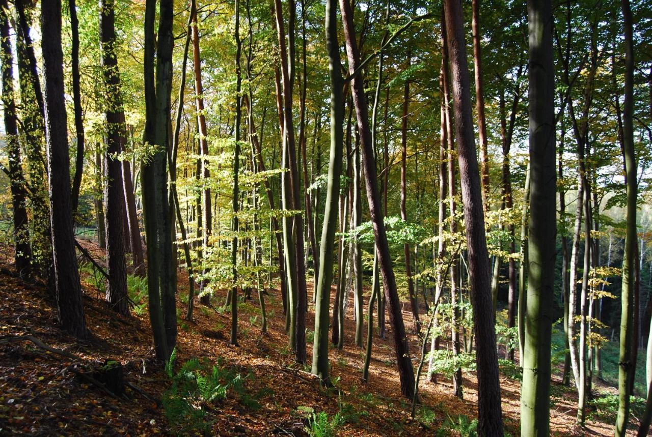 Osrodek Wypoczynkowy Laguna Lubniewice Exterior foto